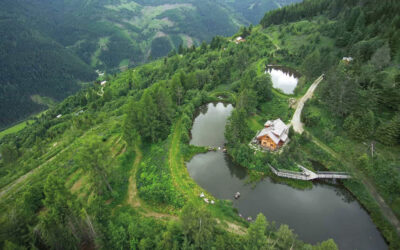 Sklaven auf dem eigenen Hof