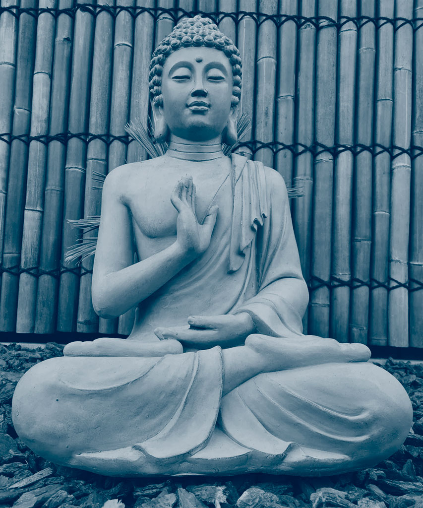 buddha buddha